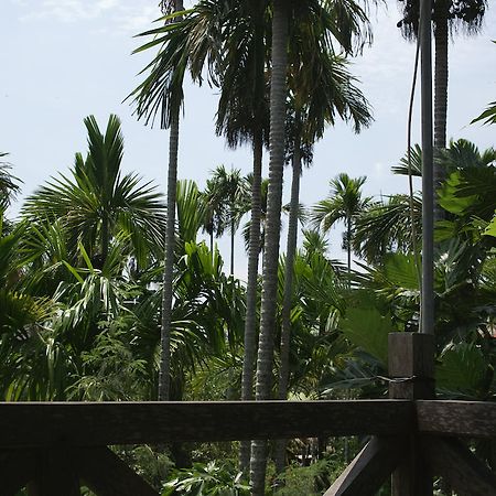 הוי אן Lila Homestay מראה חיצוני תמונה