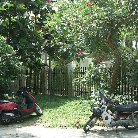 הוי אן Lila Homestay מראה חיצוני תמונה
